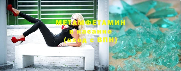 прущие грибы Гусев
