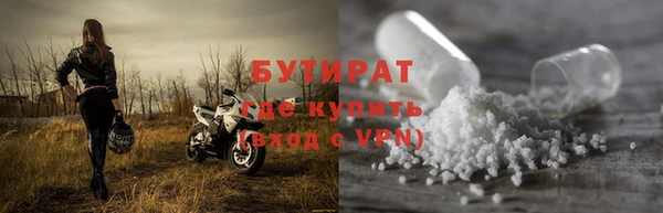 прущие грибы Гусев