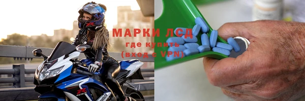 прущие грибы Гусев