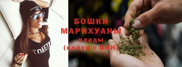 прущие грибы Гусев