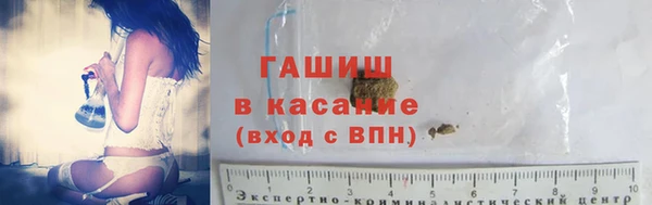 прущие грибы Гусев