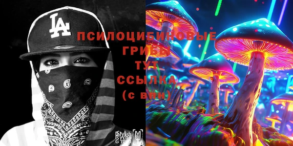 прущие грибы Гусев