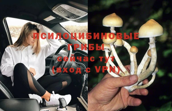 прущие грибы Гусев