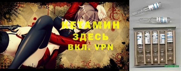 прущие грибы Гусев