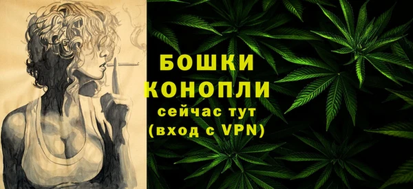 бутират Гусь-Хрустальный