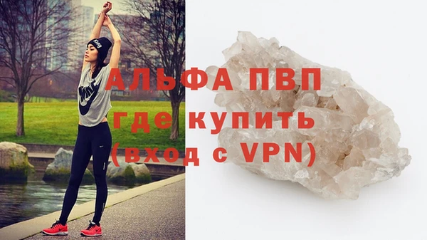 прущие грибы Гусев