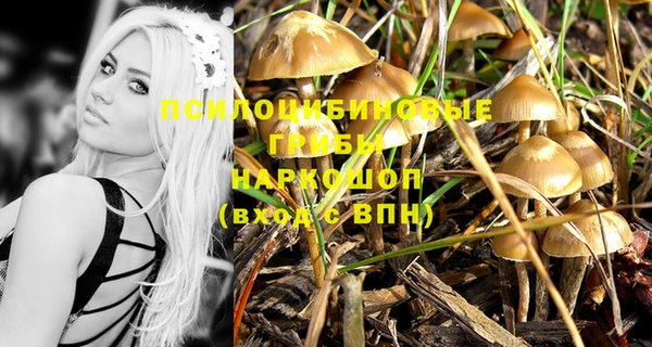 прущие грибы Гусев