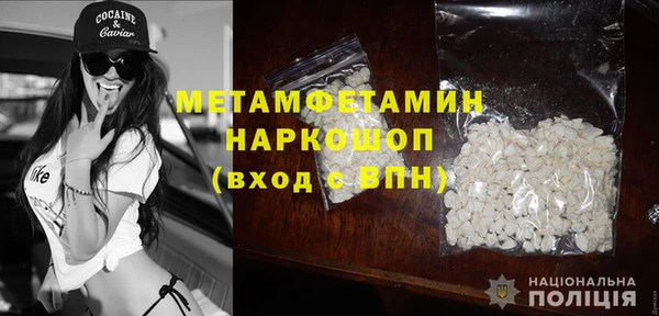 прущие грибы Гусев